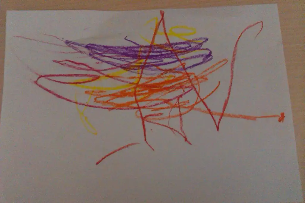 IMAG3381.webp