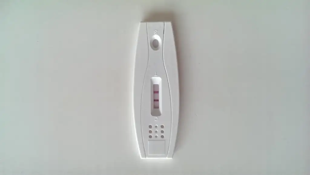 IMAG3687.webp