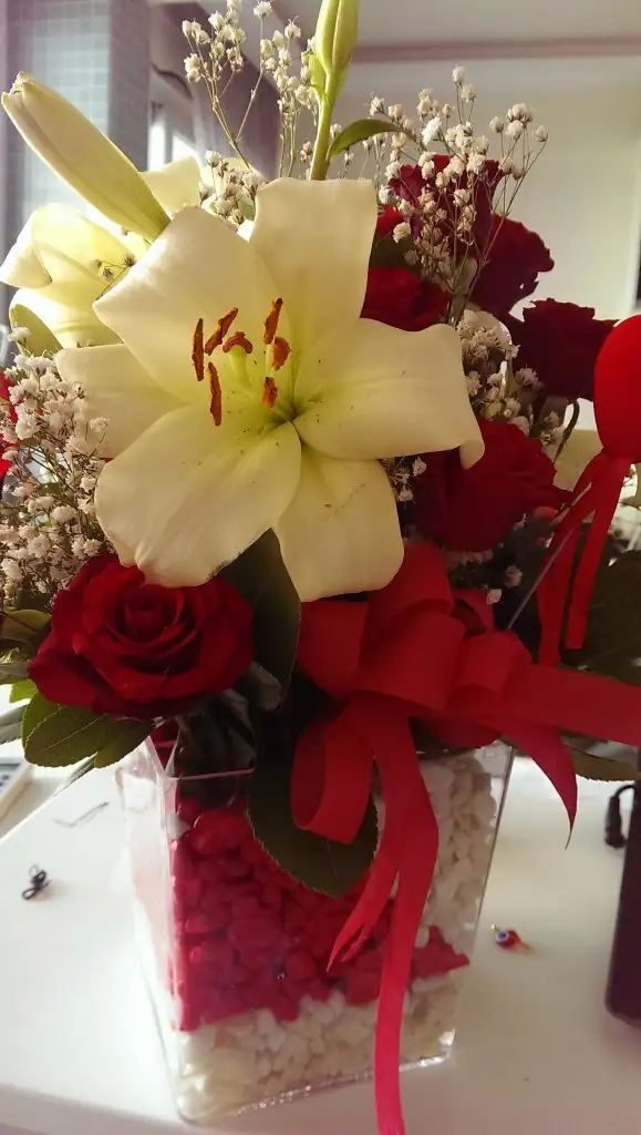 IMAG3689.webp