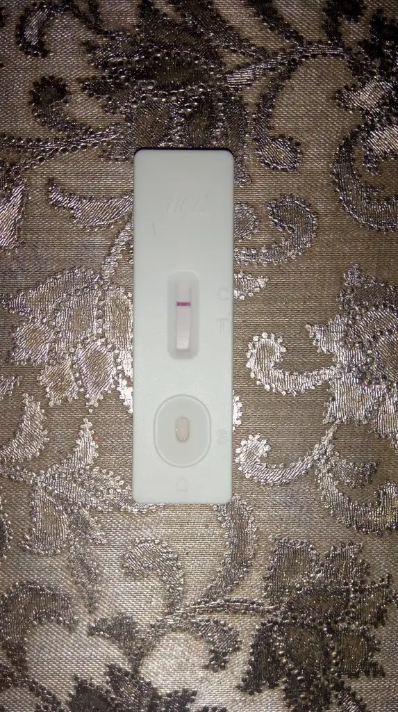 IMAG3956.webp