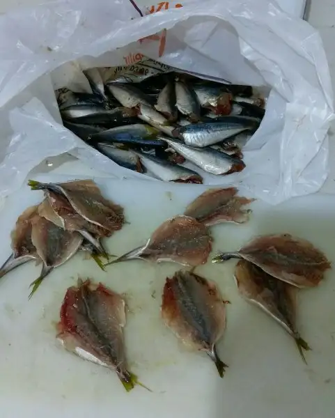 IMAG6698_1.webp