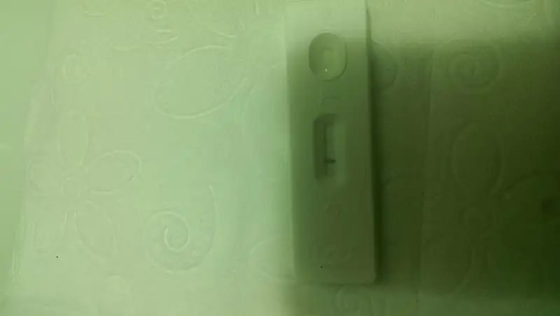 IMAG8269.webp