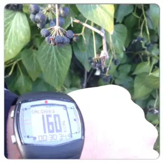 Image-458.webp