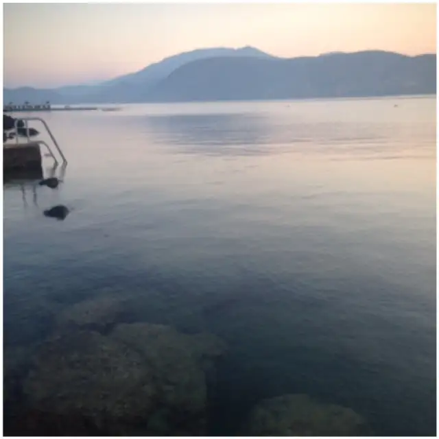 Image-559.webp