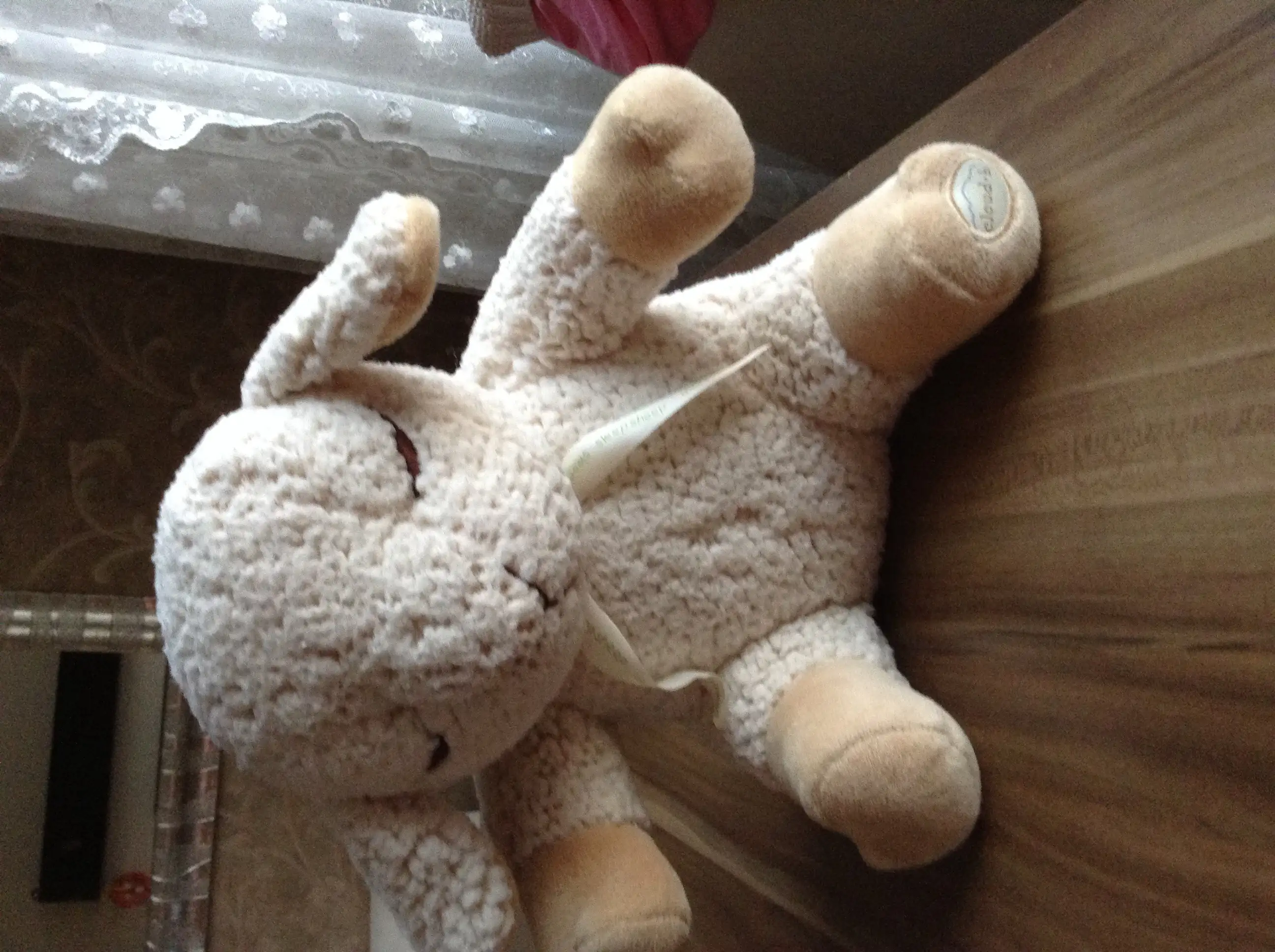 image.webp