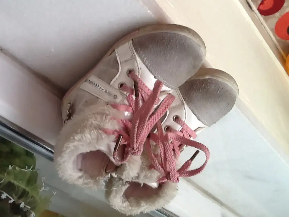 image.webp