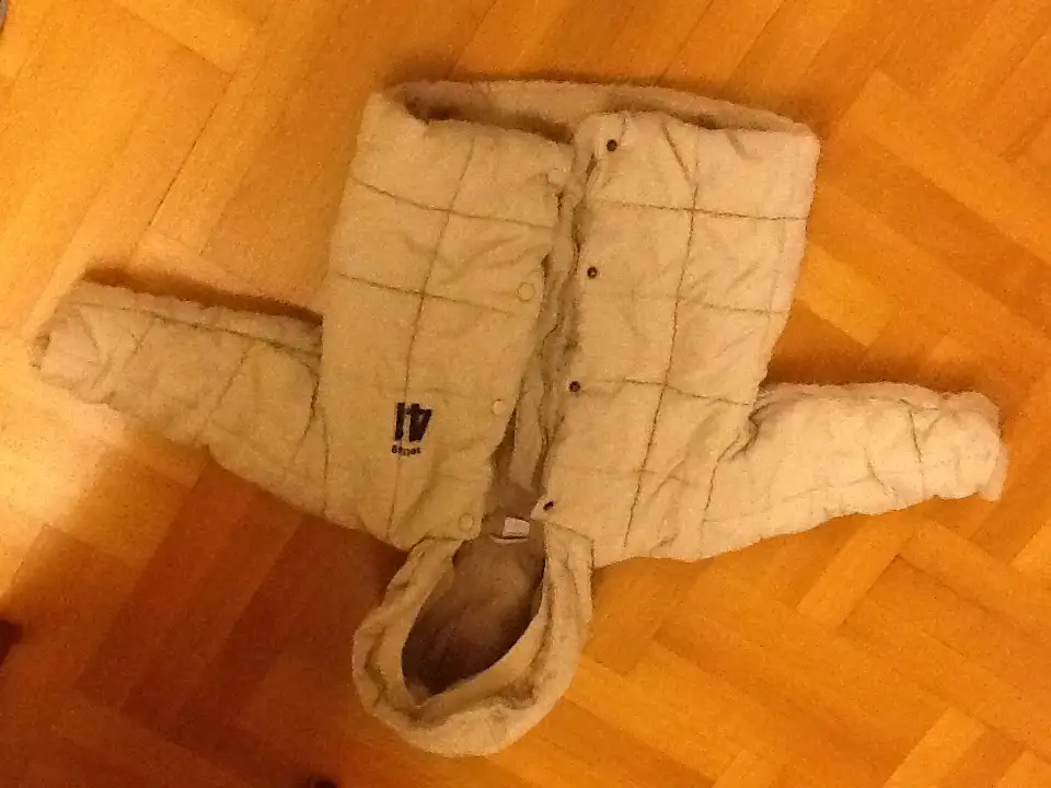 image.webp
