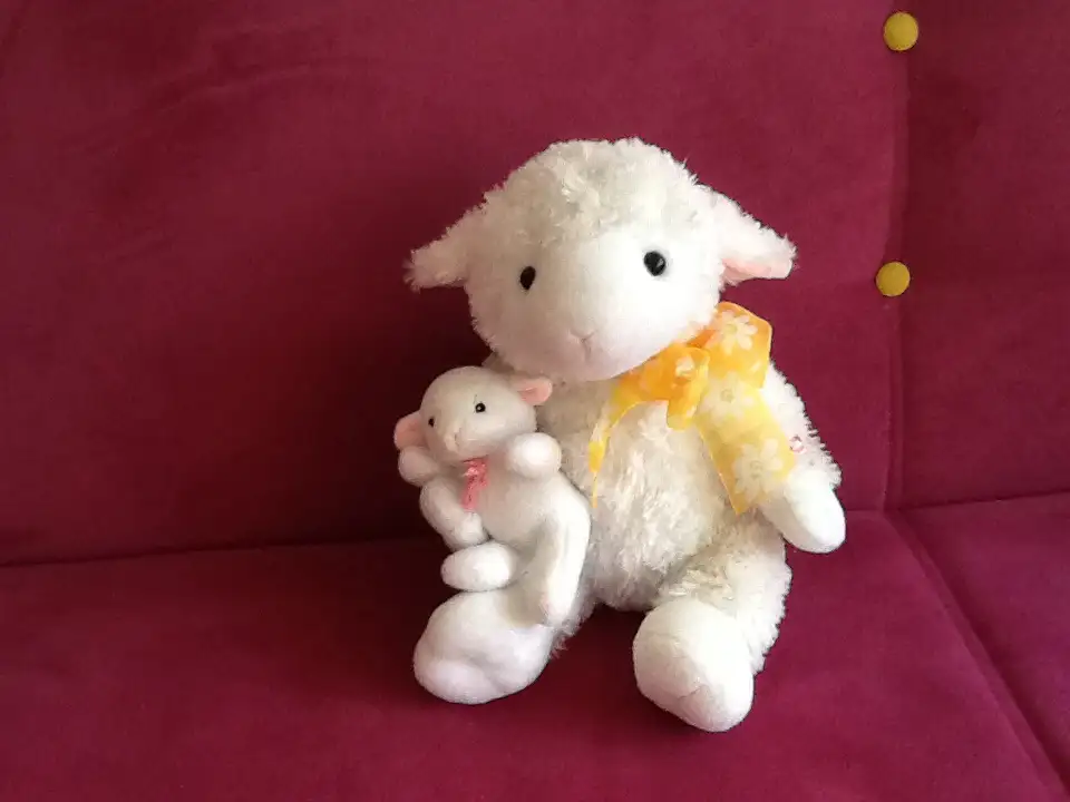 image.webp