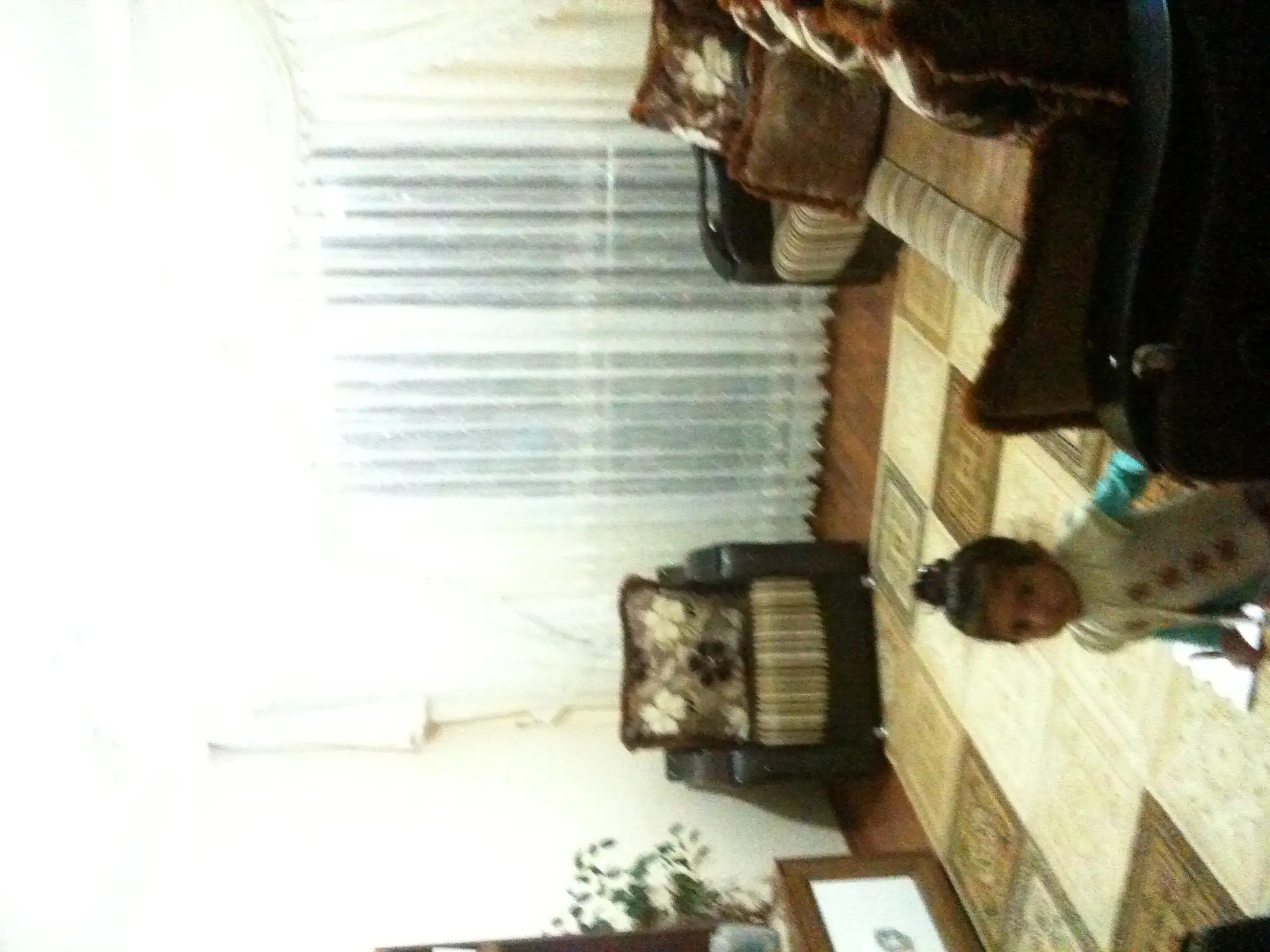 image.webp