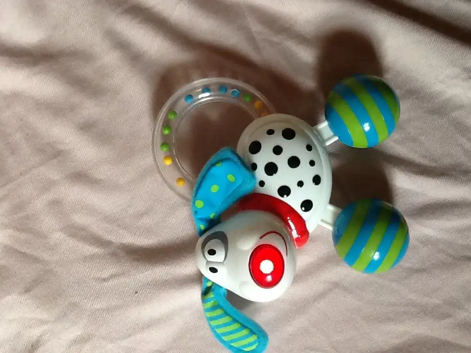 image.webp