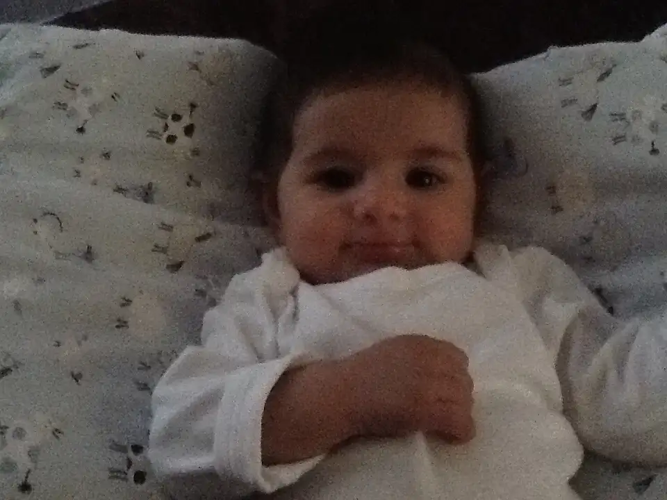 image.webp