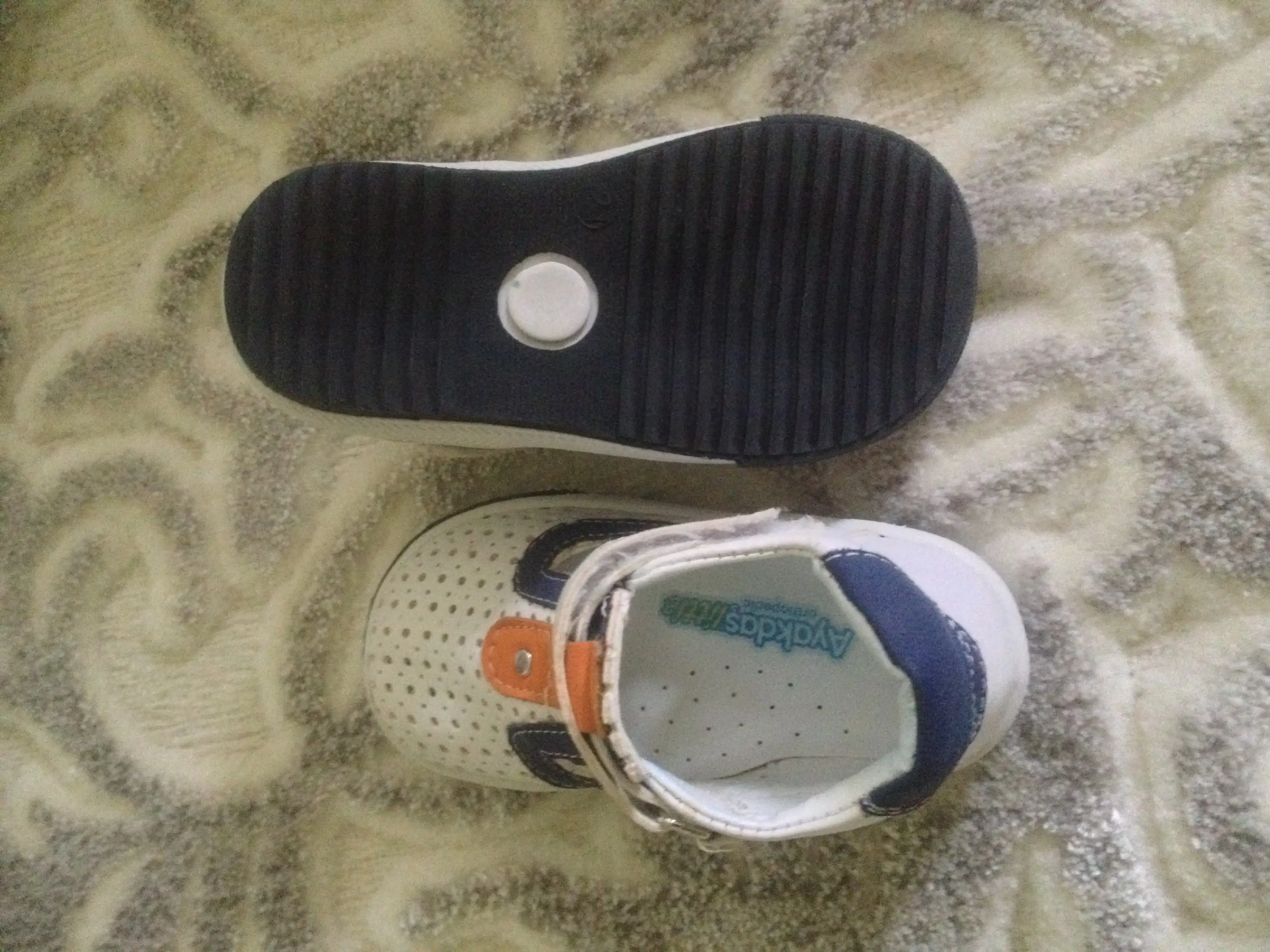 image.webp