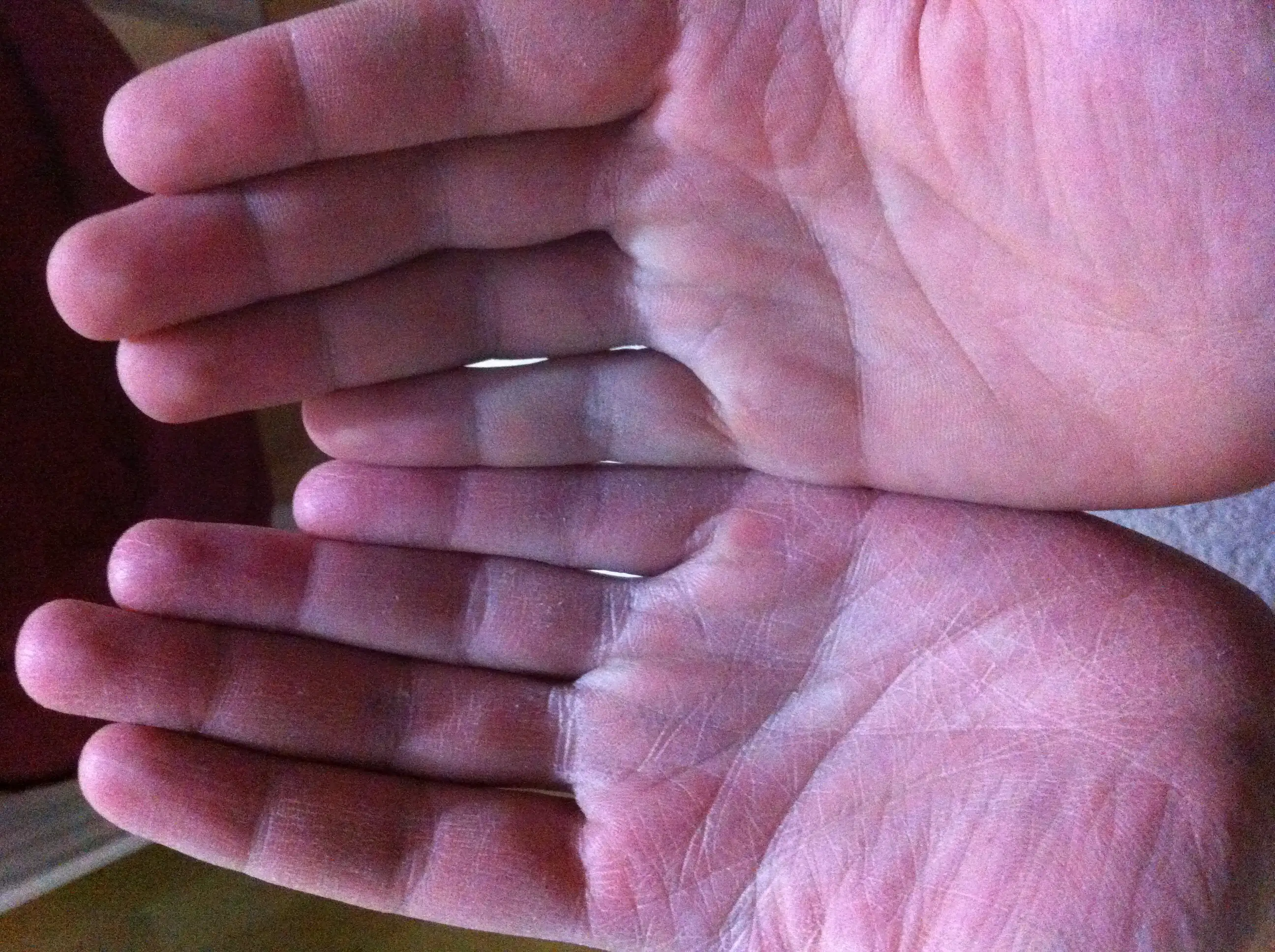 image.webp