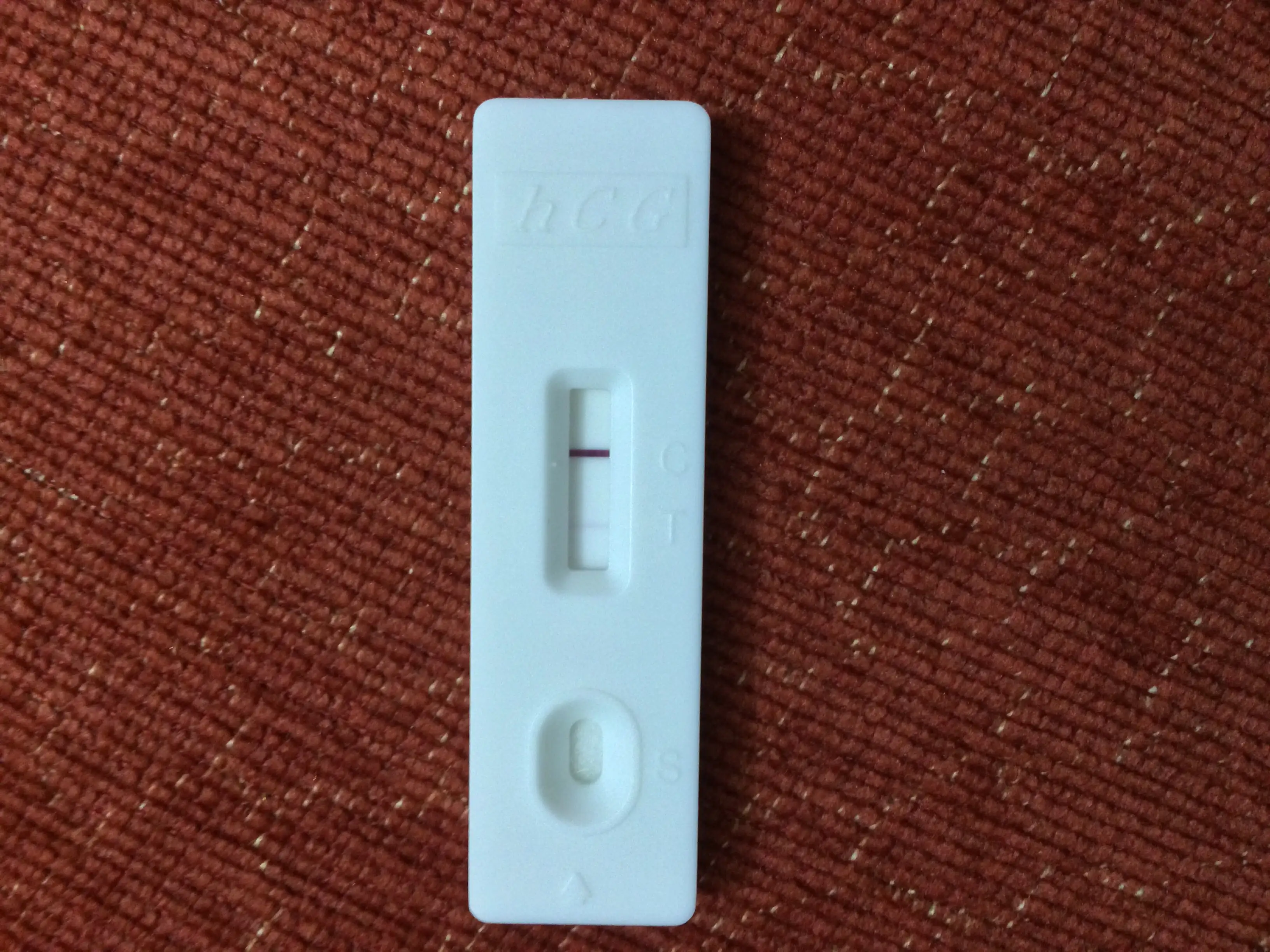 image.webp
