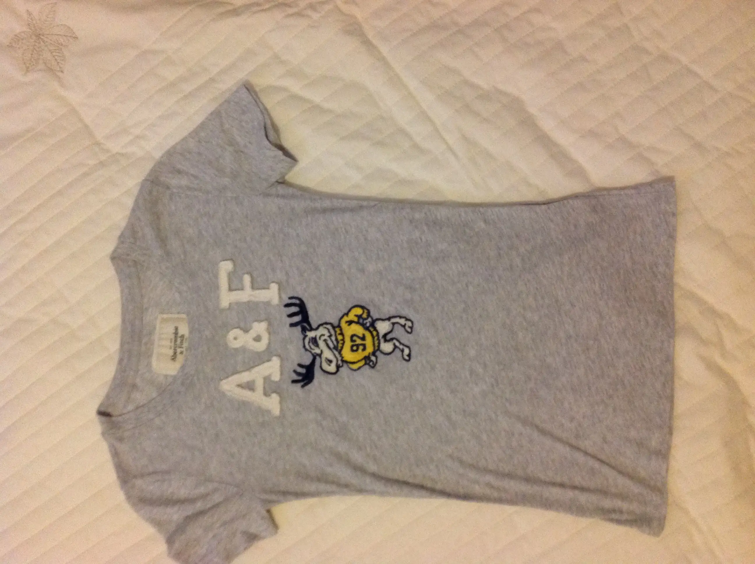 image.webp