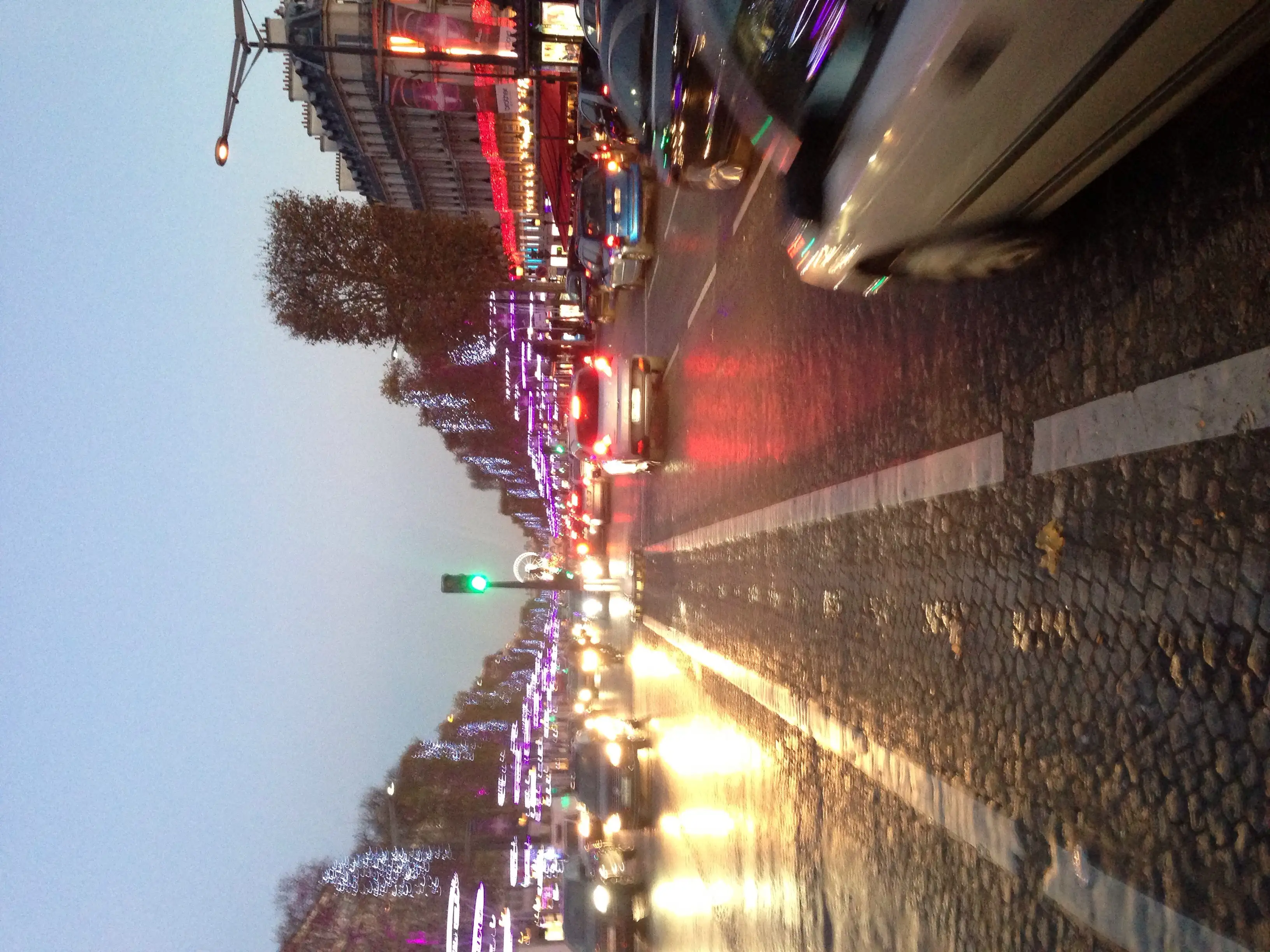image.webp