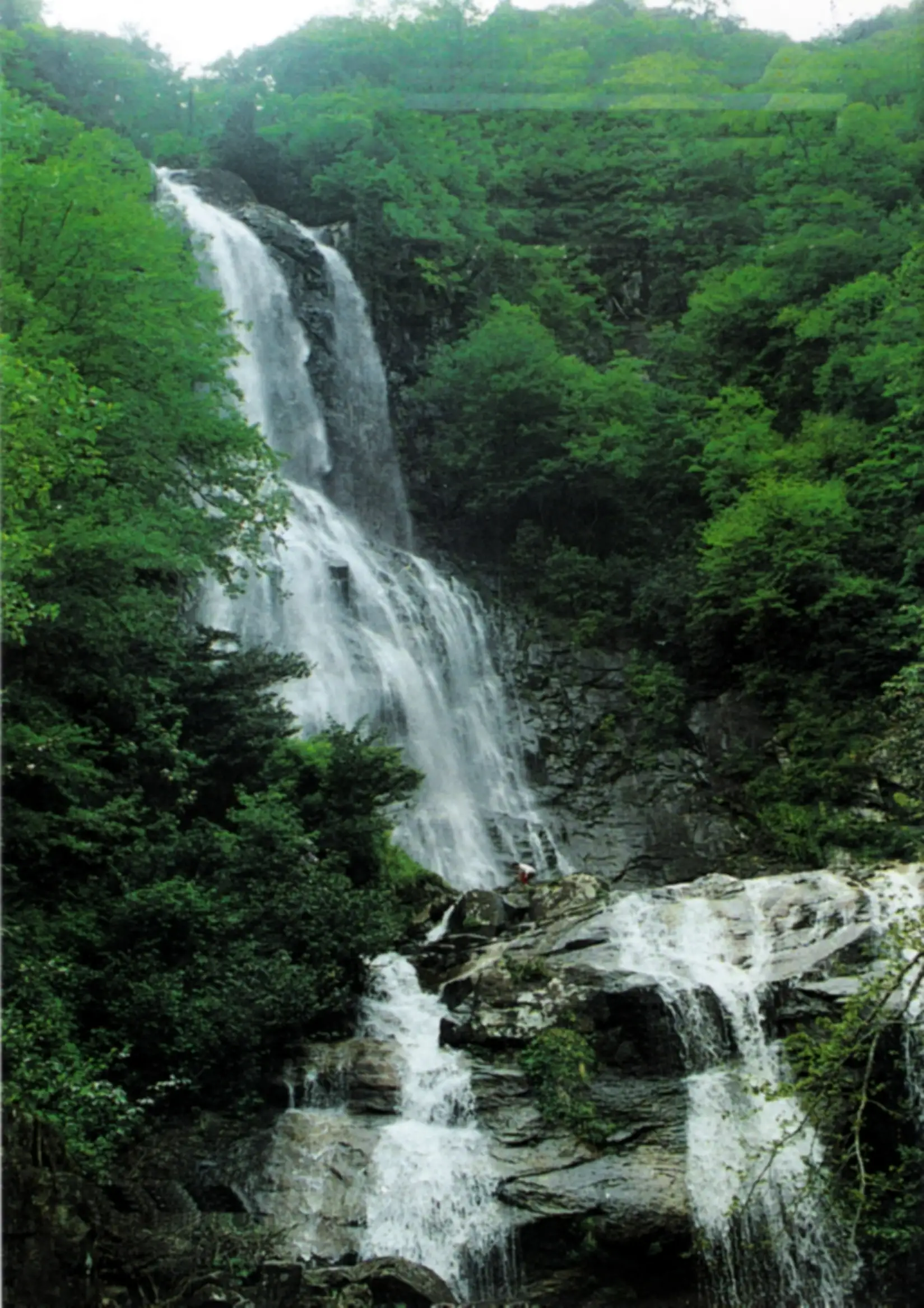 image.webp