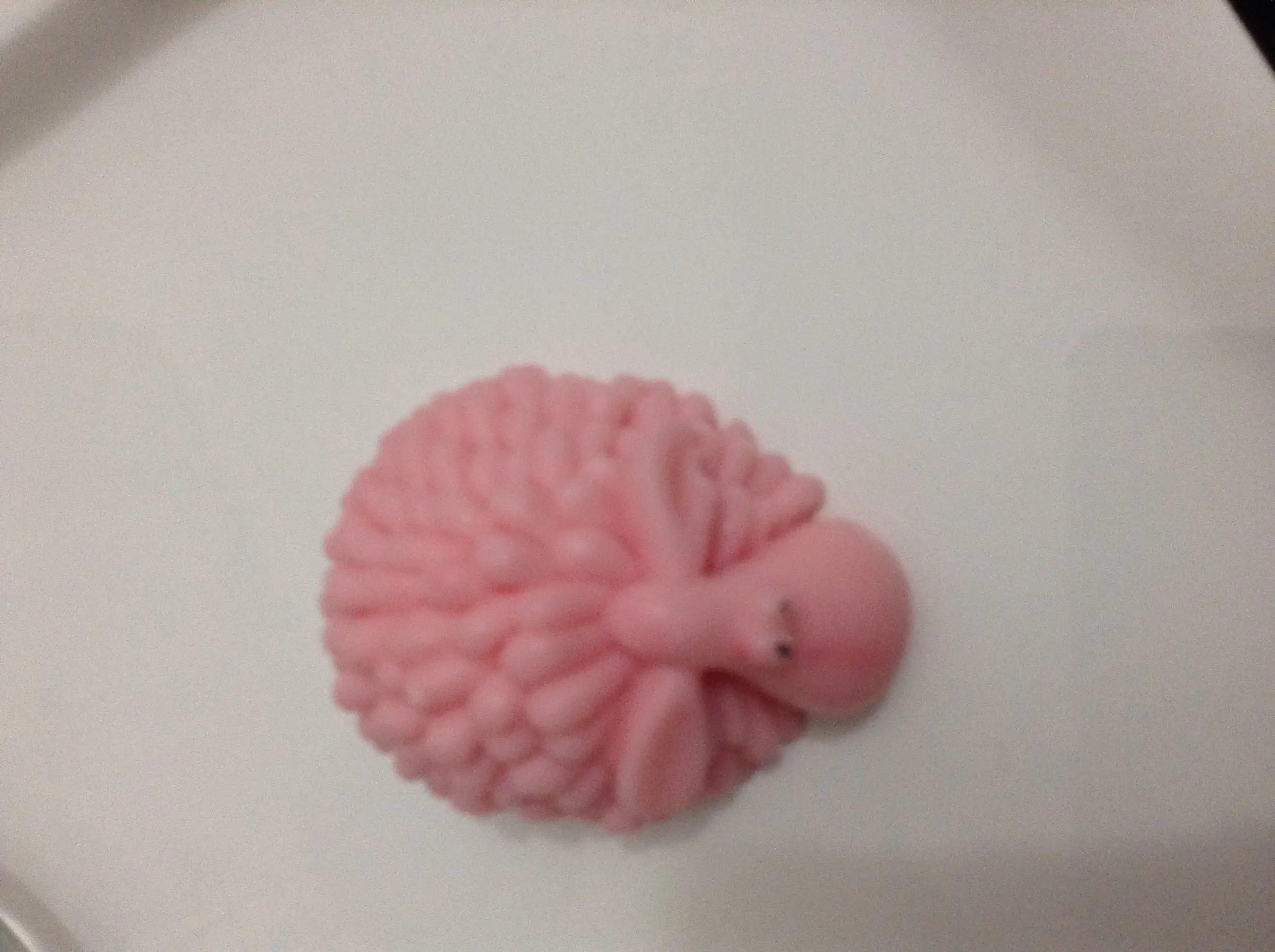 image.webp
