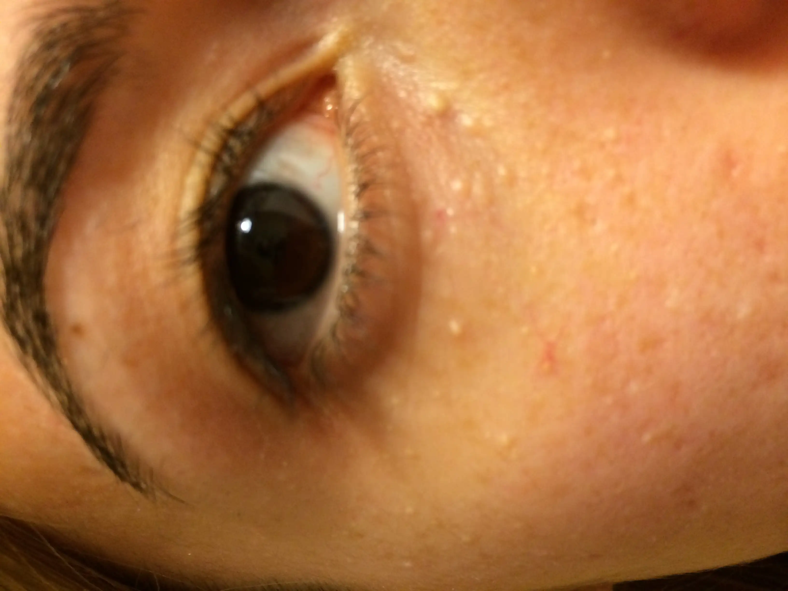 image.webp