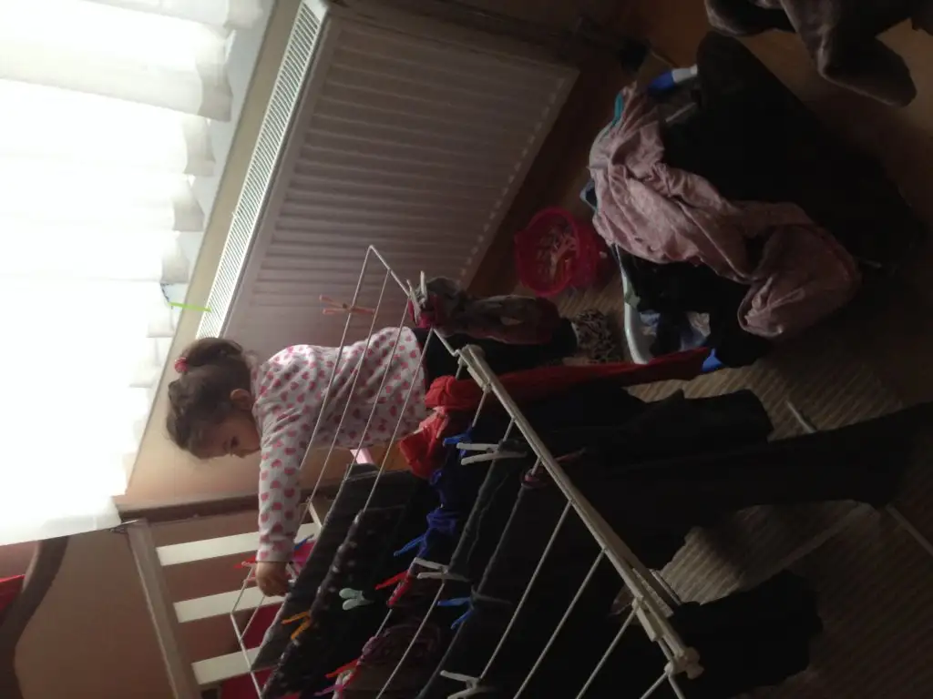 image.webp