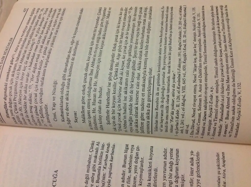 image.webp