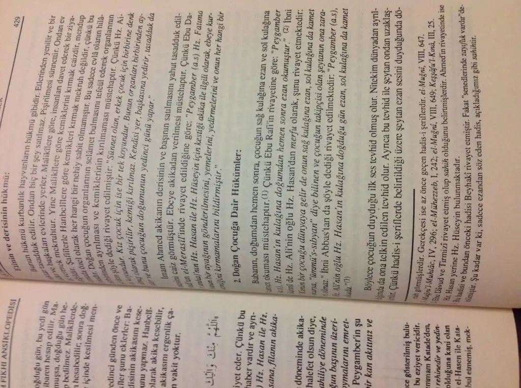 image.webp
