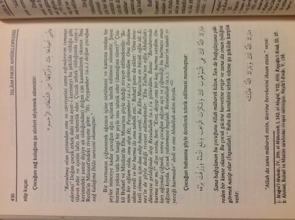 image.webp