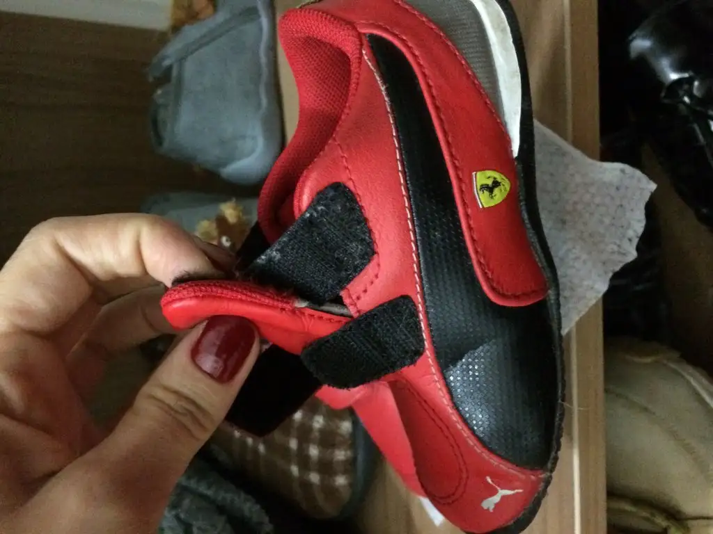 image.webp