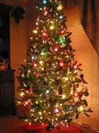 image.webp