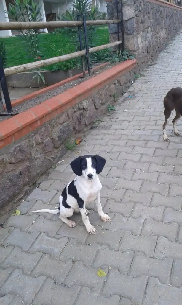 image.webp