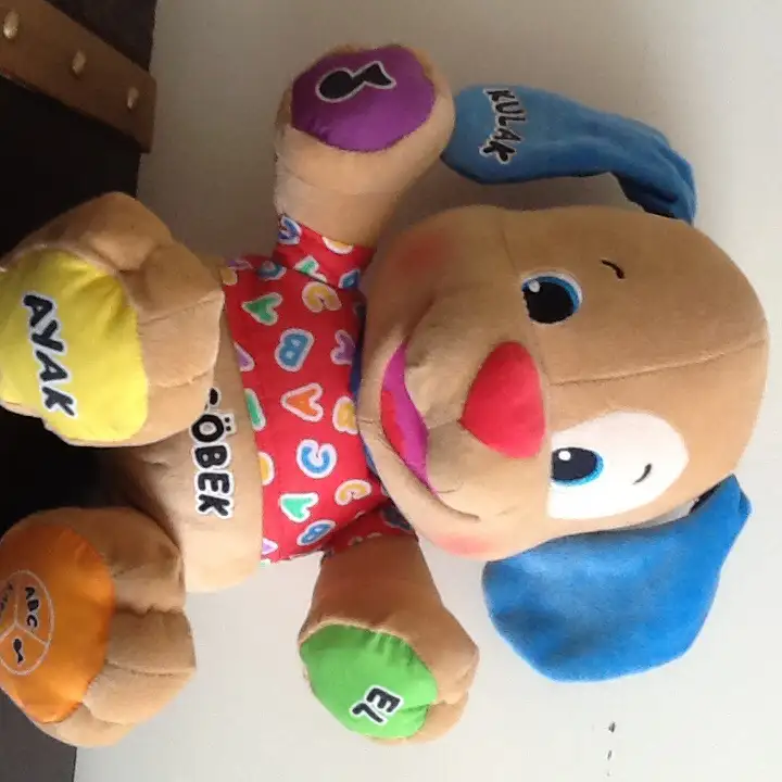 image.webp