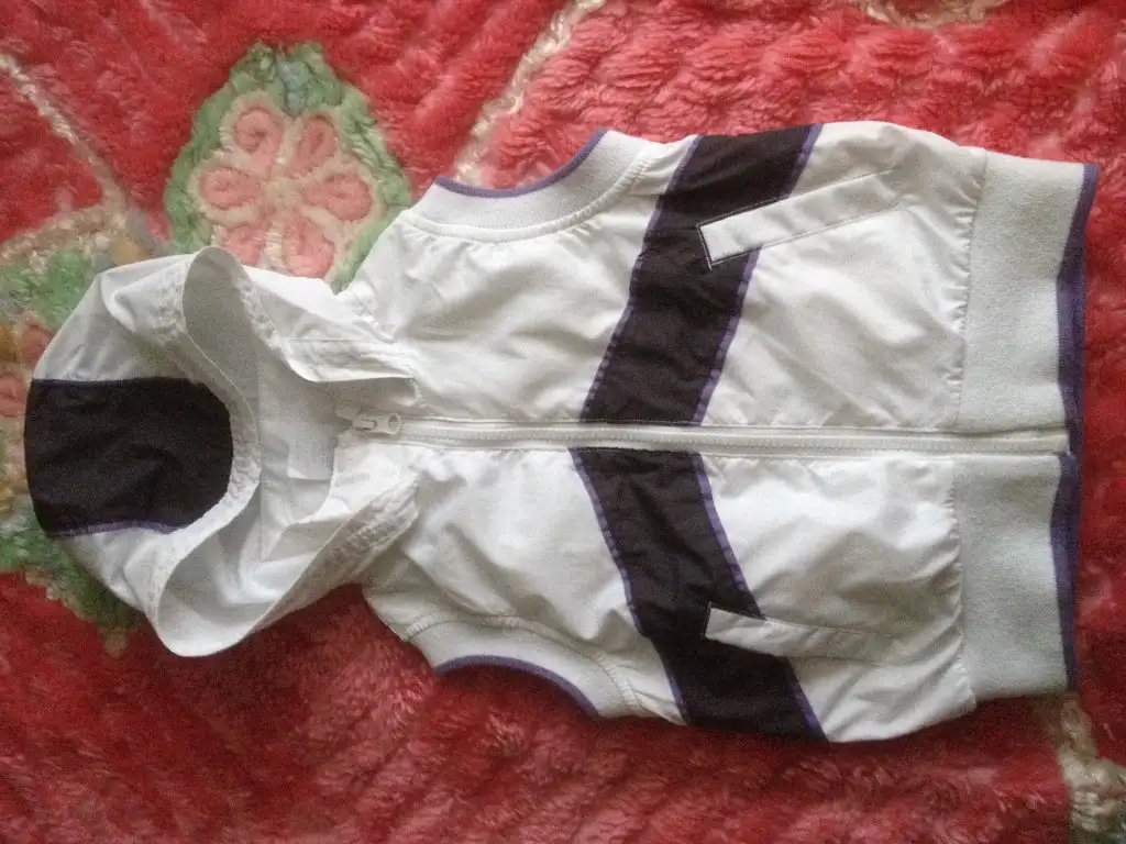 image.webp