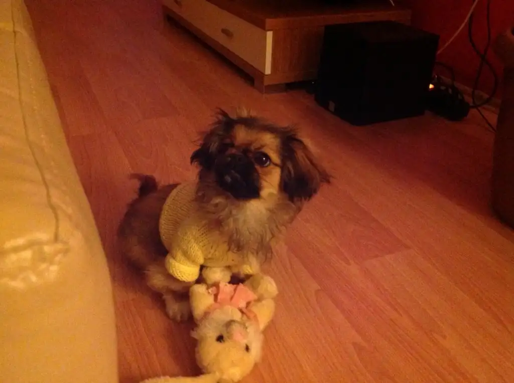 image.webp