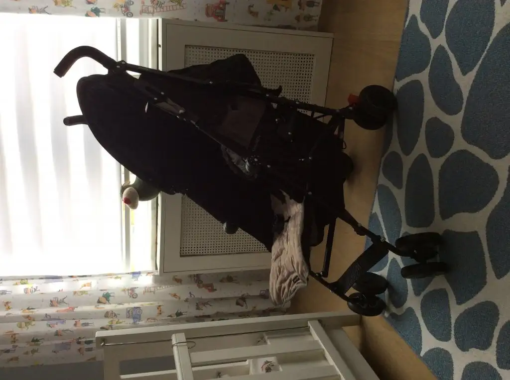 image.webp
