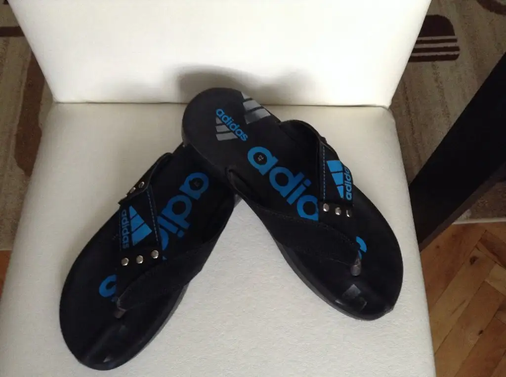 image.webp