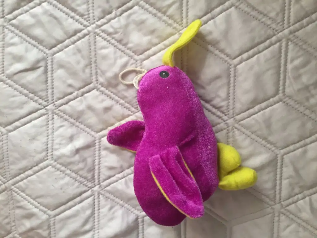 image.webp