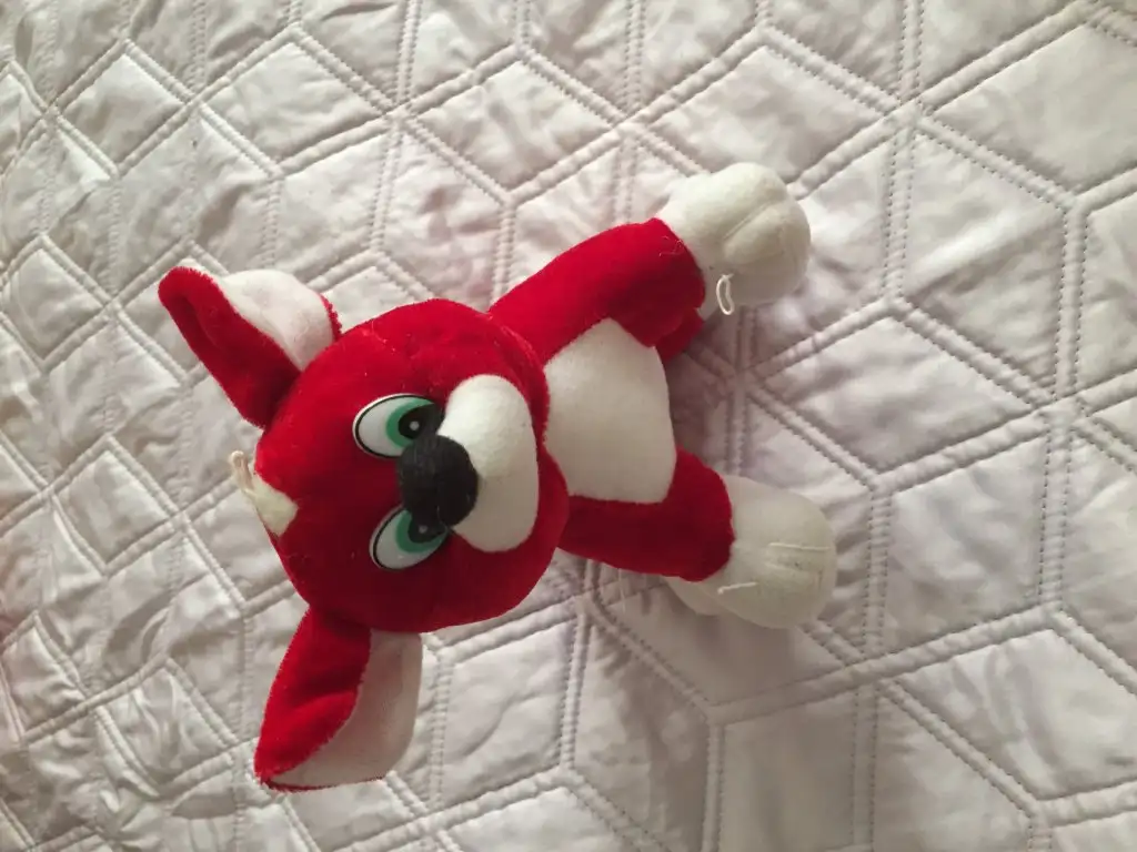 image.webp