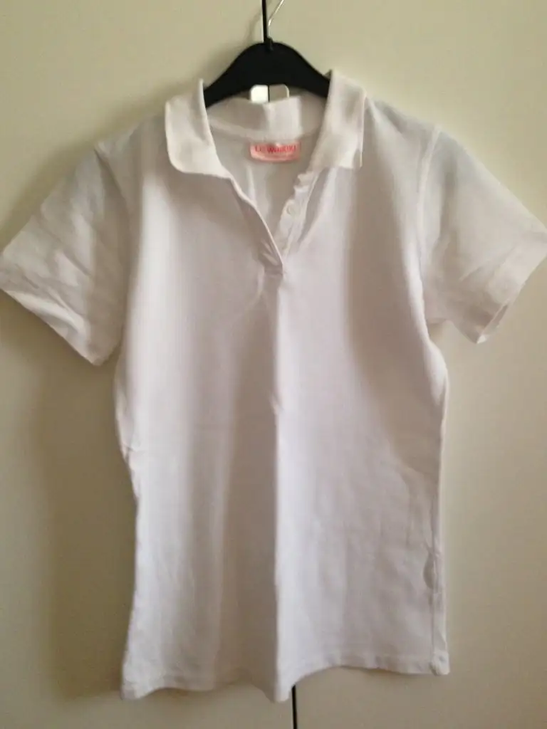 image.webp