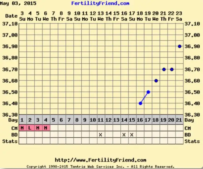 image.webp