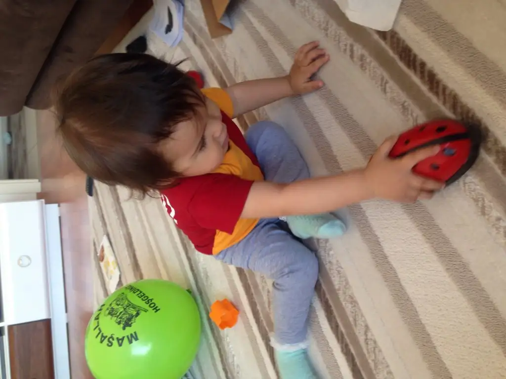 image.webp