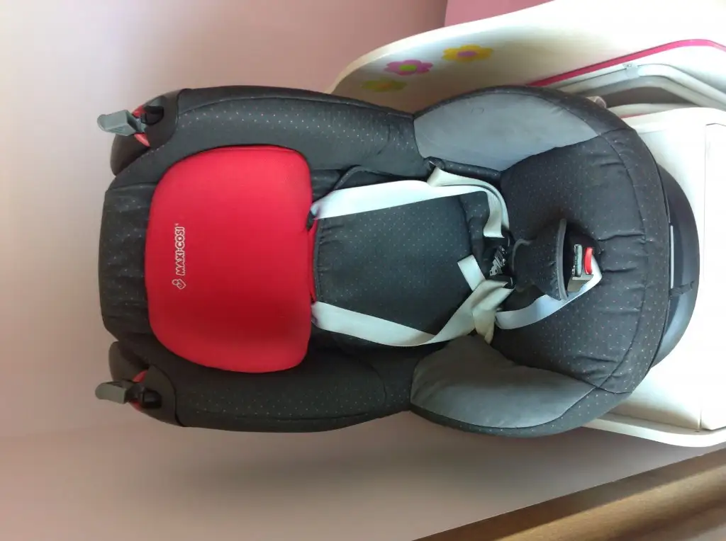 image.webp