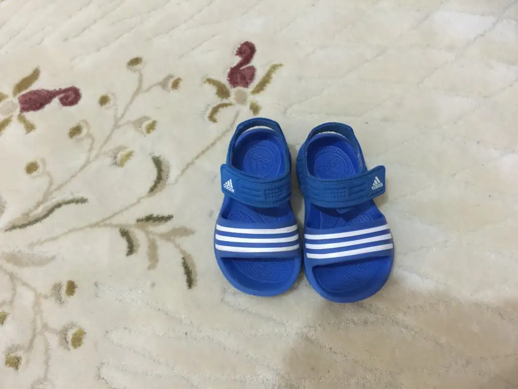 image.webp