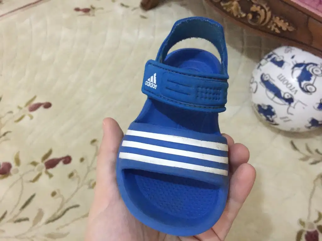 image.webp