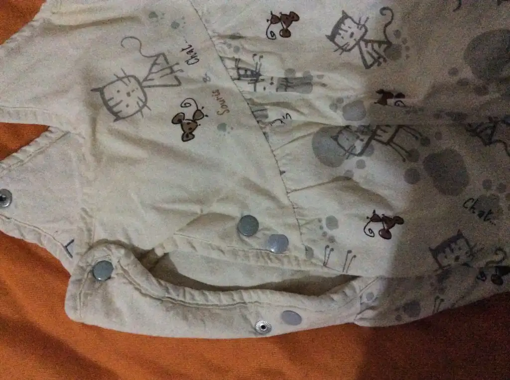 image.webp