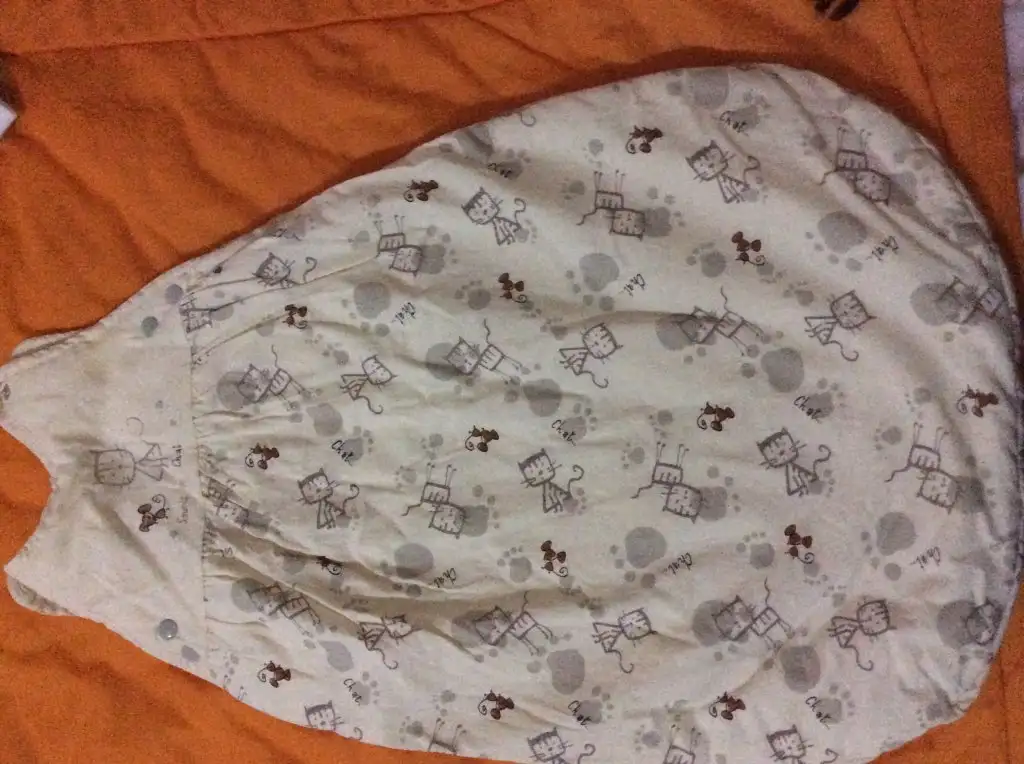 image.webp