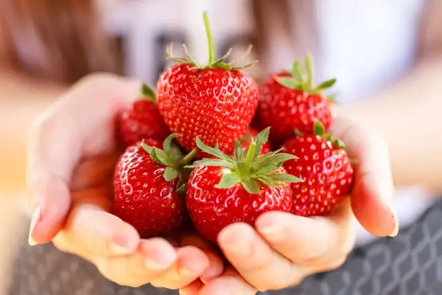 image.webp