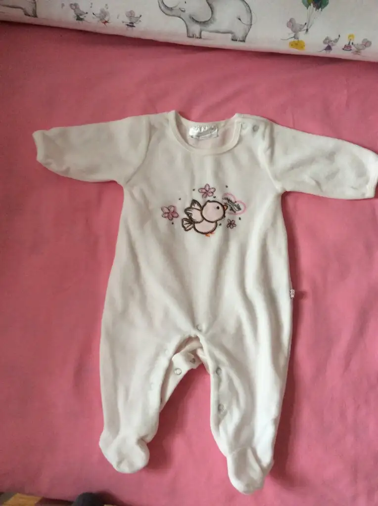 image.webp