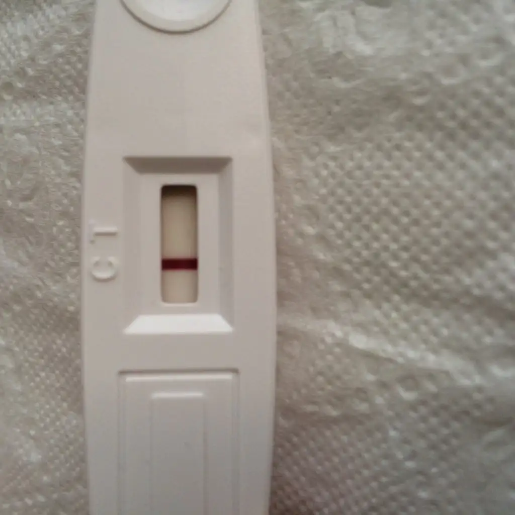 image.webp