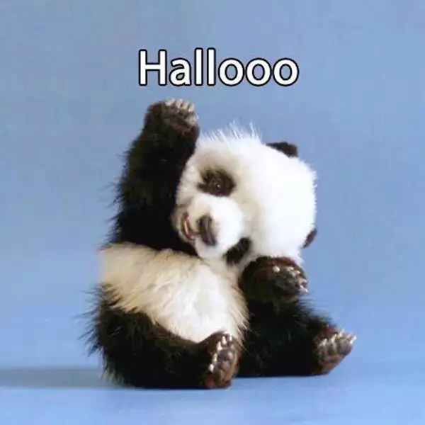 image.webp