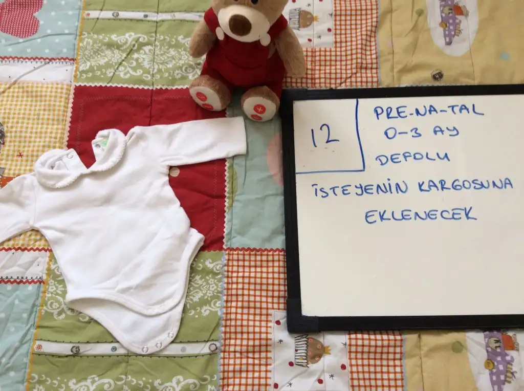 image.webp